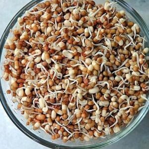 Moth Dal (Matki Dal)