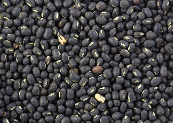 Urad Dal (Black Gram Dal) - Image 2